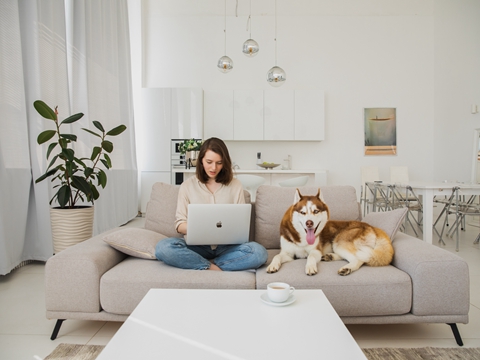 美國商標(biāo)注冊全攻略：從個人申請到公司代辦，你需要知道的一切