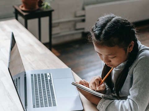 企業(yè)服務(wù)：專注韓國公司設(shè)立，助力高效合法經(jīng)營