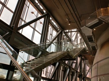 2025美國公司類型選擇：為何CPA推薦C-Corp？