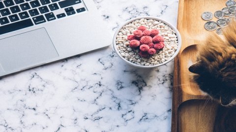 天貓國際服務(wù)商入駐條件與運(yùn)營資質(zhì)要求